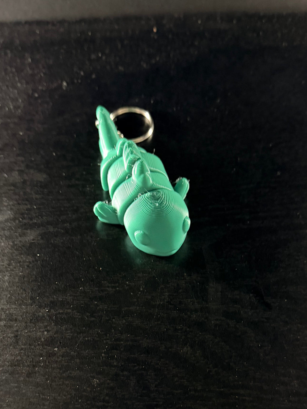 Fish Fidget Key Chain
