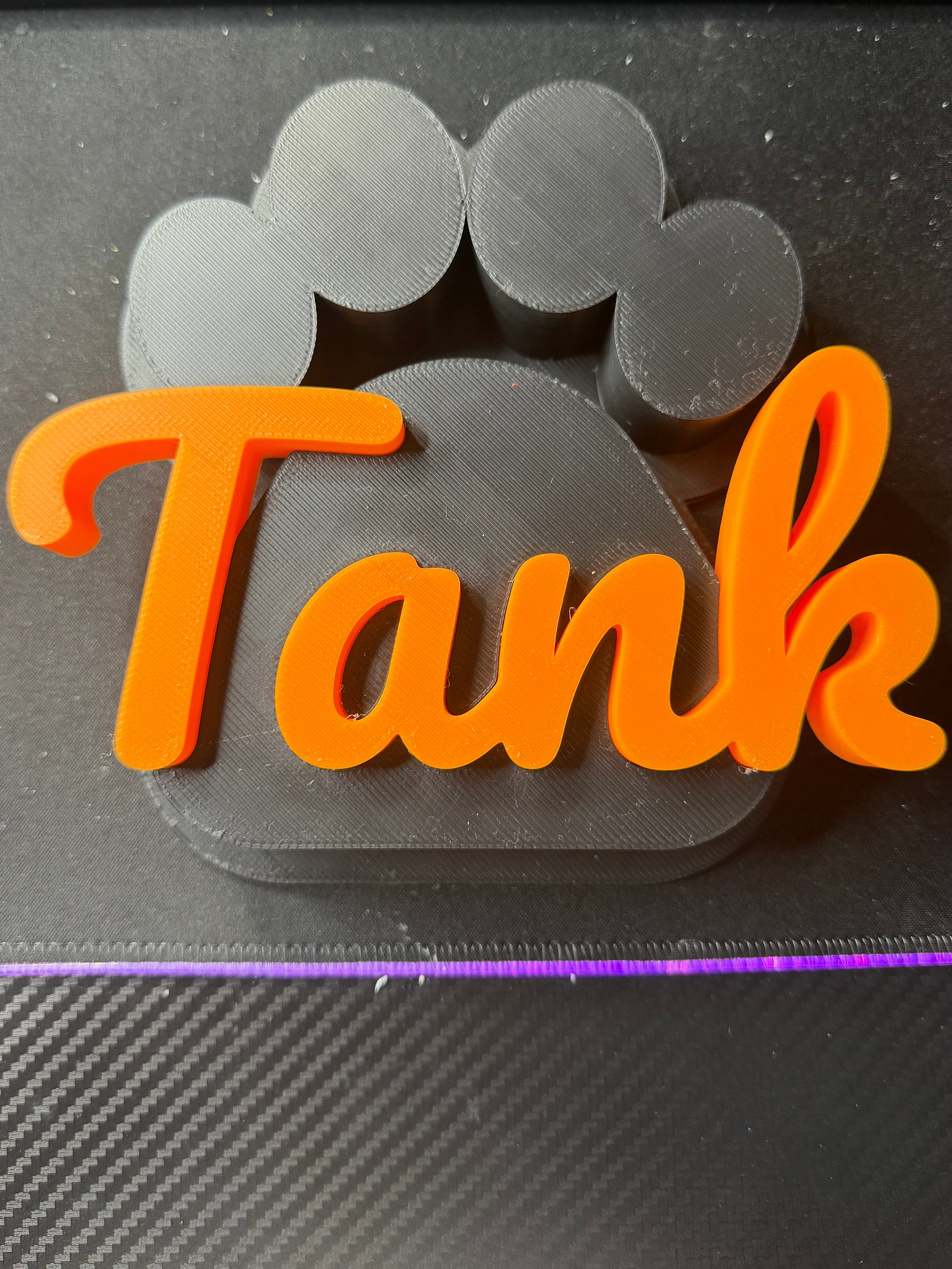 Custom Puppy Paw with Name Wall Decor