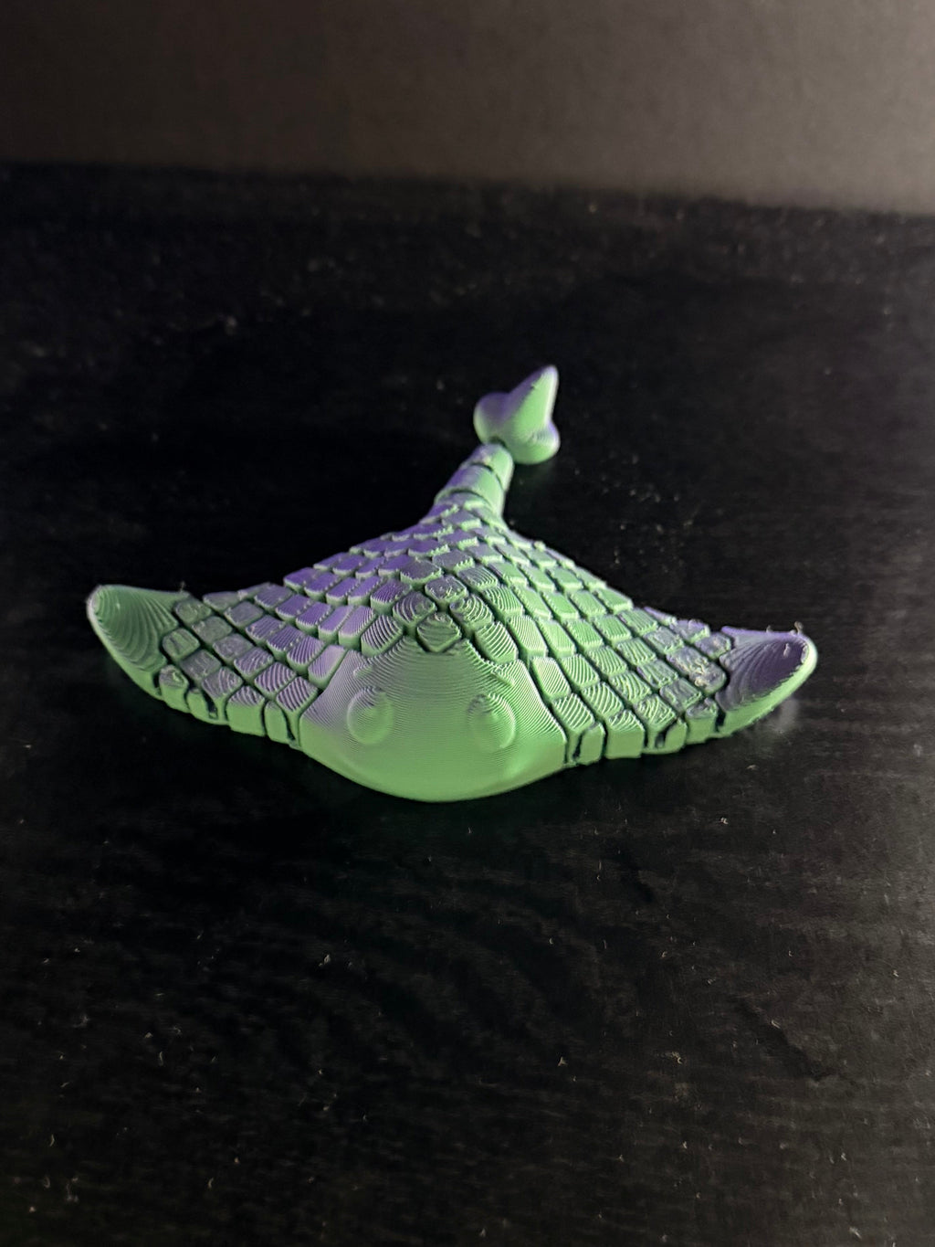 Stingray Fidget Toy