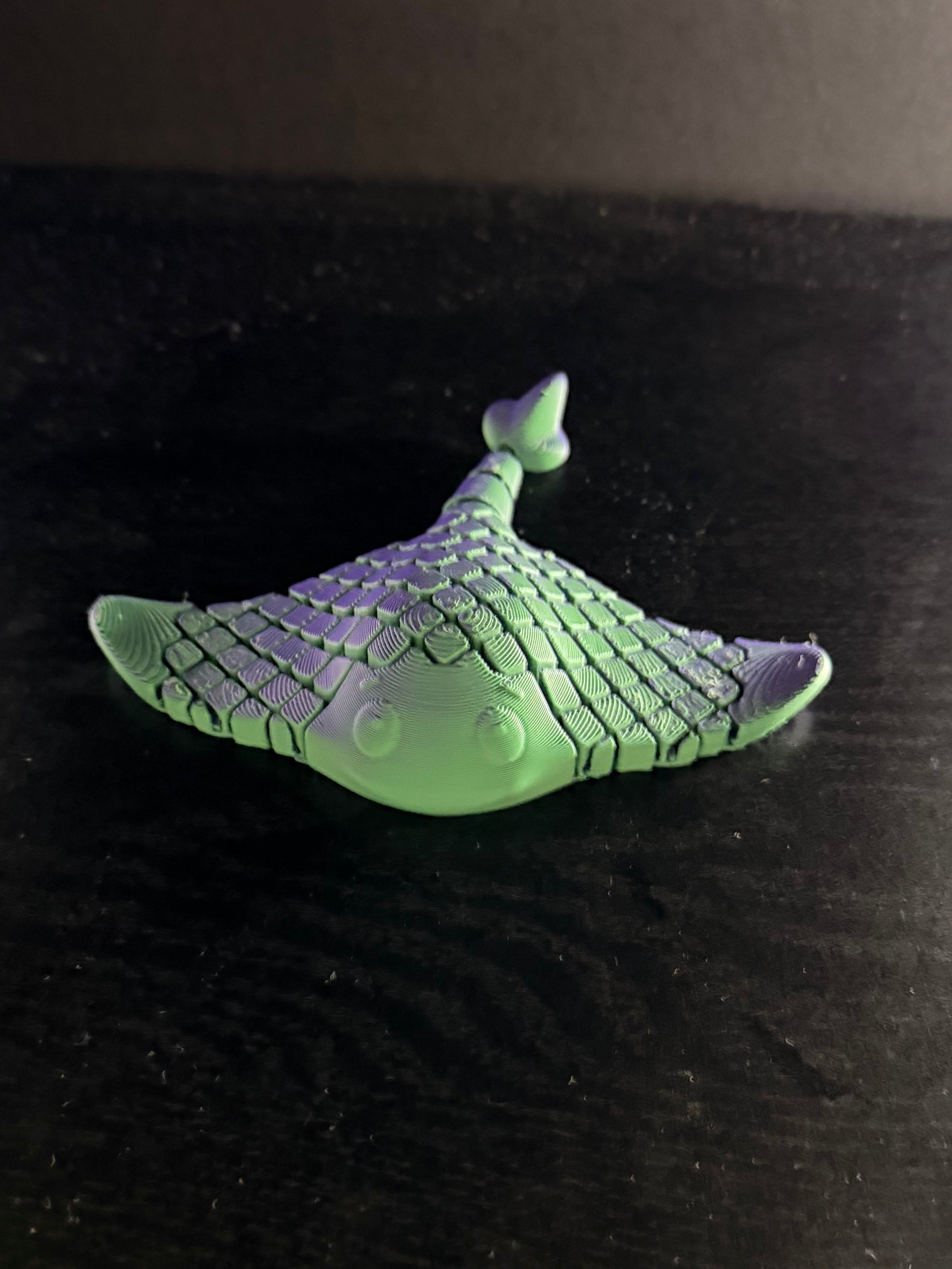 Stingray Fidget Toy