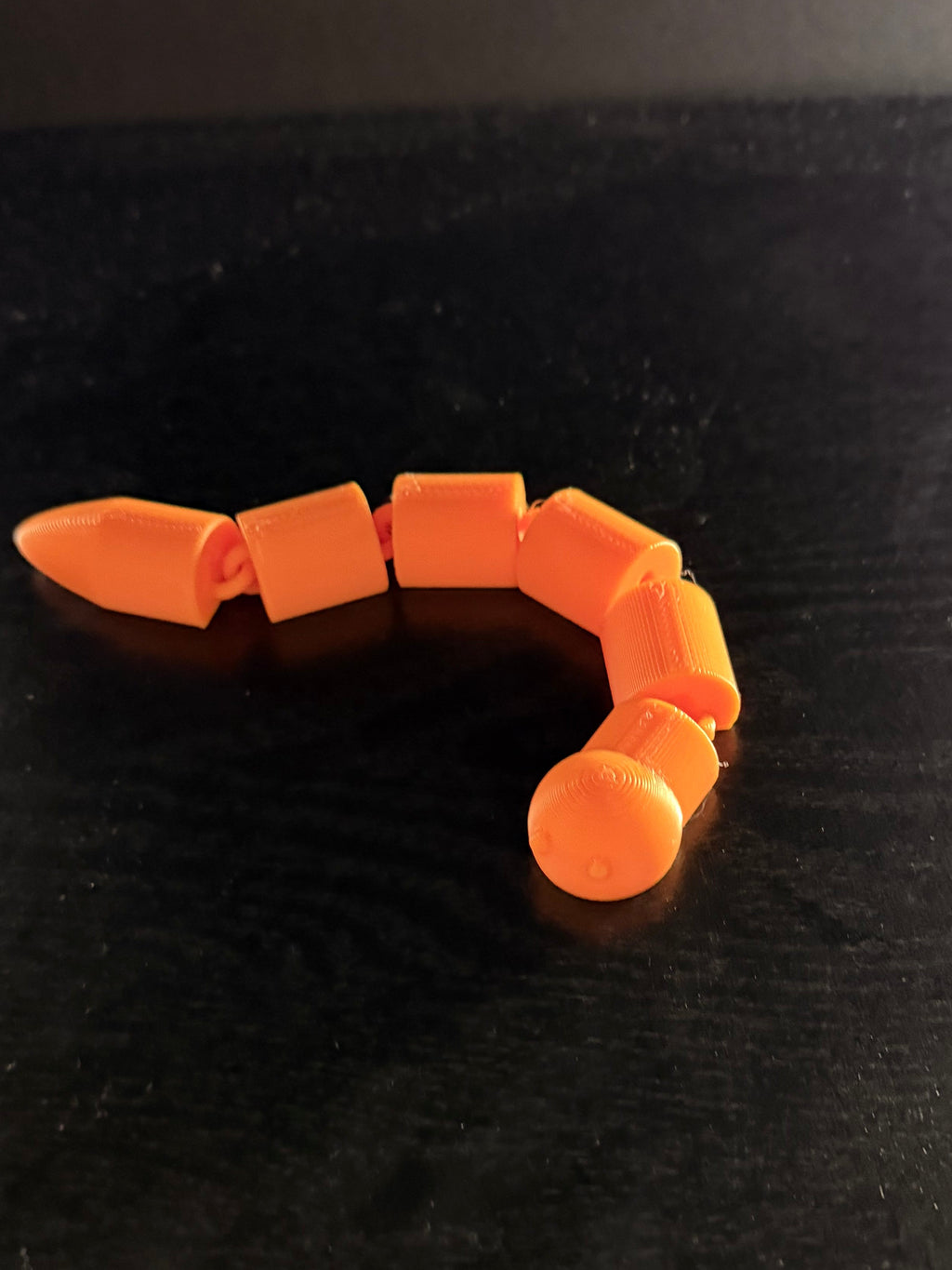 Worm Fidget Toy